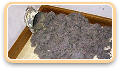 dryer lint